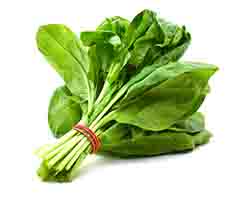 spinach