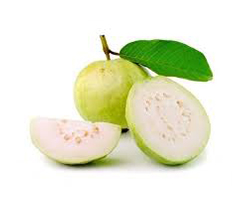 guava