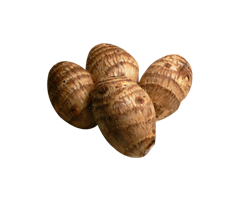 Taro Root (Arbiyan)